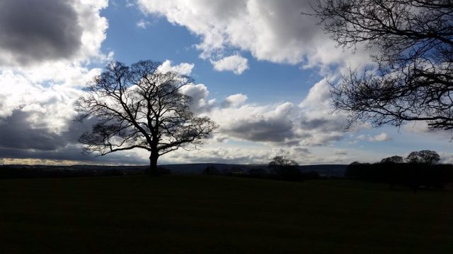 skyline