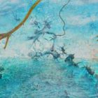 Kay Aitch: inspiration from Ecclesall Woods