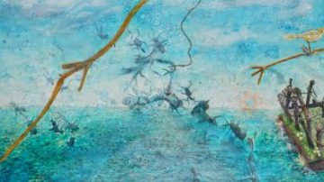 Kay Aitch: inspiration from Ecclesall Woods