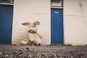 Giant rabbit holding a sign 'will donate eggs for food'