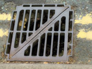 drain cover