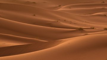 Sand dunes