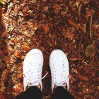 Trainers