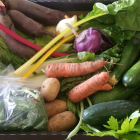 the veg box