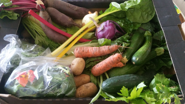 the veg box
