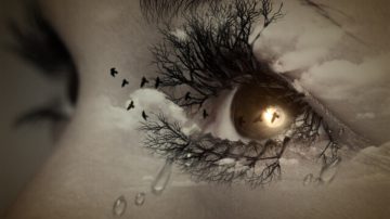 An surreal painting of an eye with some birds around it