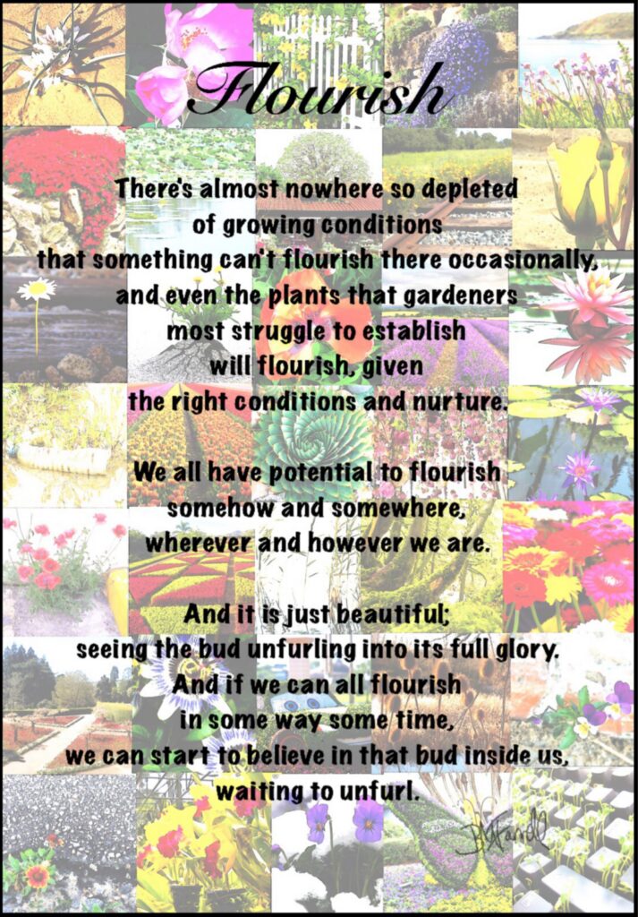 Flourish poster