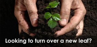Hands nurturing small seedling