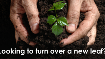 Top 10 Sheffield Food and Gardening Projects