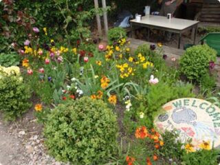 Beautiful scene of flowers in garden