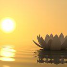 Lotus flower