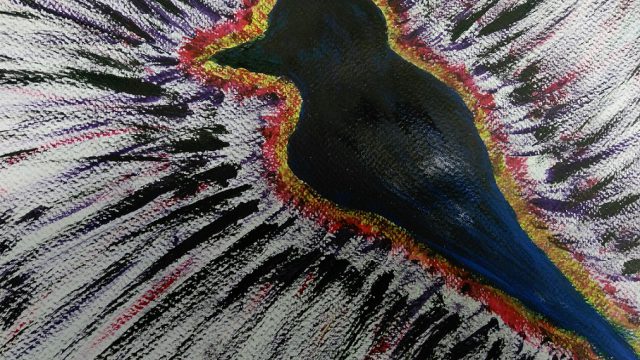 A bird