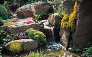rock garden with small waterfall