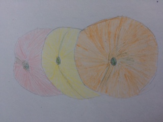 drawing