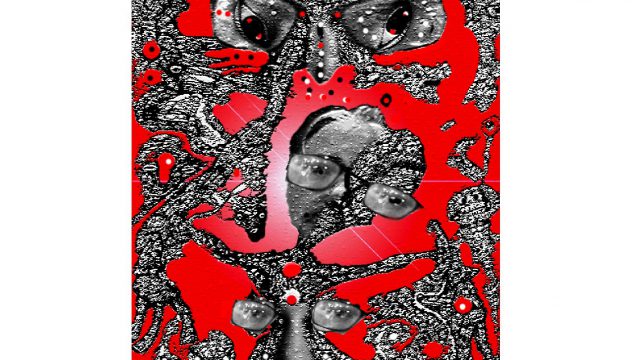 A fragmented mind
