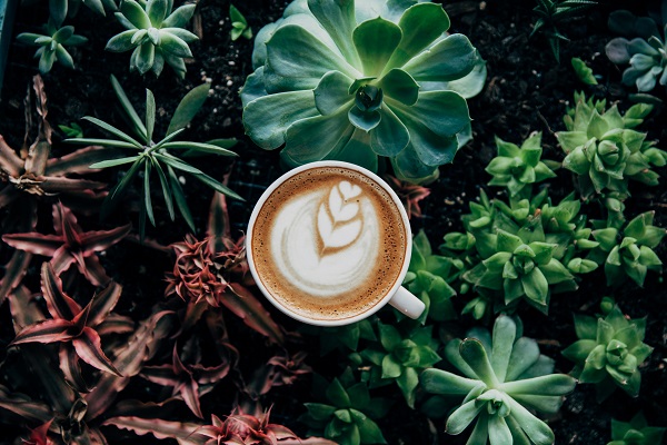 Coffee cup with plants