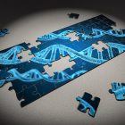 jigsaw puzzle of a DNA strand