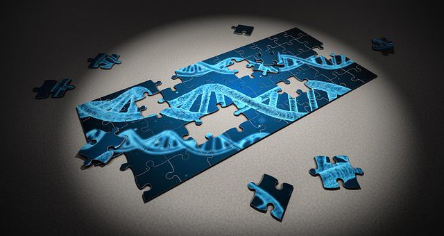 jigsaw puzzle of a DNA strand