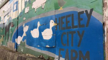Heeley City Farm