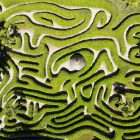 Labyrinth